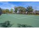 Well-maintained tennis court surrounded by trees, offering a pleasant and active outdoor experience at 13822 Bee Tree Ct, Hudson, FL 34669