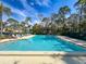 Large community pool showcasing a clean and inviting swimming space with surrounding lounge area and nearby trees at 1203 Clays Trl # 406, Oldsmar, FL 34677
