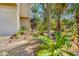 Beautiful yard with lovely landscaping and a unique spiral staircase to the second floor at 8711 Betty St, Port Richey, FL 34668