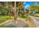 Landscaped yard with mature palm trees, meticulous rock groundcover, and grassy lawn at 8711 Betty St, Port Richey, FL 34668