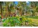Lush yard with tropical foliage, mature trees, and meticulous rock and mulch landscaping at 8711 Betty St, Port Richey, FL 34668
