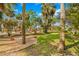 Lush landscaped yard with palm trees, mature landscaping, and meticulous gravel beds at 8711 Betty St, Port Richey, FL 34668