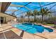 Pool with attached spa, screened-in enclosure, and palm trees overlooking the lush backyard at 20200 Lace Cascade Rd, Land O Lakes, FL 34637
