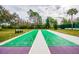 View of the outdoor shuffleboard court, benches, and landscaping in a community park at 7343 Cleopatra Dr, Land O Lakes, FL 34637