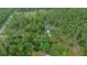 Secluded home featuring a private pool surrounded by lush greenery and mature trees offering ultimate privacy at 16325 Hibiscus Rd, Brooksville, FL 34601