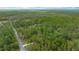 Aerial view of a home surrounded by lush greenery, highlighting the property's private, wooded setting at 16325 Hibiscus Rd, Brooksville, FL 34601