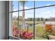 Scenic backyard view of a pond and landscaping through a multi-pane window at 18819 Sunterra Dr, Land O Lakes, FL 34638