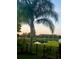 Serene backyard view overlooking a pond at sunset with lush greenery and palm trees at 18819 Sunterra Dr, Land O Lakes, FL 34638