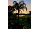 Backyard view of a pond at sunset, framed by palm trees and garden foliage at 18819 Sunterra Dr, Land O Lakes, FL 34638