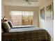 Comfortable bedroom featuring twin beds, a ceiling fan, and natural light at 4529 Whitton Way # 214, New Port Richey, FL 34653