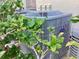 Carrier HVAC Condenser unit surrounded by green foliage at 4529 Whitton Way # 214, New Port Richey, FL 34653