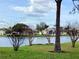 Scenic view of the lake with landscaping and a glimpse of community homes at 4529 Whitton Way # 214, New Port Richey, FL 34653