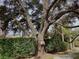 Mature trees in the community with lush landscaping and a well maintained hedge at 4529 Whitton Way # 214, New Port Richey, FL 34653