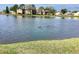 Community pond surrounded by buildings with four ducks swimming on the surface of the water at 4529 Whitton Way # 214, New Port Richey, FL 34653