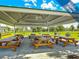 Outdoor picnic area with numerous wooden picnic tables and charcoal grills, perfect for gatherings at 11838 Yellow Finch Ln, Trinity, FL 34655