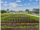Well-kept community garden featuring raised garden beds for planting various vegetables and herbs at 17026 Shell Bay Dr, Land O Lakes, FL 34638