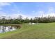 View of a pond in a green backyard, surrounded by trees and natural vegetation on a sunny day at 17026 Shell Bay Dr, Land O Lakes, FL 34638