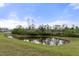 Large pond with grassy shoreline and natural vegetation under a partly cloudy sky at 17026 Shell Bay Dr, Land O Lakes, FL 34638