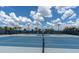 Well-maintained blue tennis court with lighting for night play, surrounded by lush greenery at 18629 Coastal Shore Ter, Land O Lakes, FL 34638