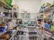 Organized pantry with wire shelving provides ample storage space for groceries at 19504 Lily Pond Ct, Brooksville, FL 34601