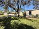 A view of the exterior of the property, with a large tree in the front yard at 7090 Red Oak Loop, New Port Richey, FL 34654
