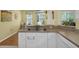 A view of a well-equipped kitchen with stainless steel sink and white cabinets at 9819 Bridgeton Dr, Tampa, FL 33626