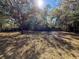 Overgrown backyard with mature trees, and a glimpse of a pool, offers a private, natural setting at 12242 Greenwood St, Brooksville, FL 34613