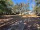 Large, wooded backyard with the screened pool as a backdrop, creating a peaceful outdoor space at 12242 Greenwood St, Brooksville, FL 34613