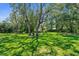 Spacious backyard with a well-maintained lawn, mature trees, and ample space for outdoor activities at 4603 Lake In The Woods Dr, Spring Hill, FL 34607