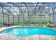 Sparkling pool enclosed within a screened lanai, surrounded by lush landscaping at 1031 Pomme De Pin Ln, New Port Richey, FL 34655