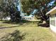 Expansive backyard with mature trees, perfect for outdoor activities at 11737 Spring Tree Ln, Port Richey, FL 34668