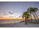 Sunset at the Beach in Florida with palm trees lining the sand with the ocean and horizon at 4912 Getner St, New Port Richey, FL 34652