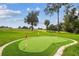 A beautiful backyard with a putting green and well-manicured lawn with trees in the distance at 6452 Summit View Dr, Brooksville, FL 34601