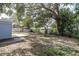 A backyard with mature trees and a shed at 686 Manor W Dr, Dunedin, FL 34698