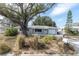 Charming single-story home with a well-manicured front yard and a driveway leading to an attached garage at 686 Manor W Dr, Dunedin, FL 34698