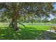 A lush, green backyard has mature trees and a playset at 8788 Fetterbush Ct, Brooksville, FL 34613