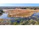 Expansive aerial view of a lush wetland area, showcasing natural beauty and tranquil surroundings at 469 Fairbanks Rd, Spring Hill, FL 34608