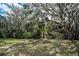 Beautiful backyard with mature trees and lush greenery, offering privacy and serenity at 5050 Limestone Dr, Port Richey, FL 34668