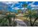 Inviting street view showcases palm trees, lush landscaping, and a curved walkway leading to the residence at 5050 Limestone Dr, Port Richey, FL 34668