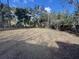 Large backyard with trees and a wood fence at 5231 Corvette Dr, Tampa, FL 33624