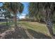Expansive backyard featuring mature trees and a sturdy fence for privacy and security at 646 Riverside Dr, Tarpon Springs, FL 34689