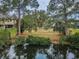 Scenic backyard view of canal, featuring lush landscaping and a glimpse of waterfront living at its finest at 646 Riverside Dr, Tarpon Springs, FL 34689