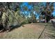 Lush backyard view showing waterway access bordered by mature palms trees and green lawns at 646 Riverside Dr, Tarpon Springs, FL 34689