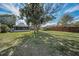 Lush backyard with mature trees, a screened-in porch, and a storage shed behind a wooden fence at 646 Riverside Dr, Tarpon Springs, FL 34689