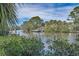Picturesque waterfront view showcasing a private dock and serene canal, surrounded by tropical foliage and clear blue skies at 646 Riverside Dr, Tarpon Springs, FL 34689