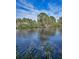 Peaceful water view highlighting the lush vegetation along the canal, perfect for nature lovers at 646 Riverside Dr, Tarpon Springs, FL 34689