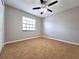 Bedroom featuring carpeted floors, a large window, neutral colored walls, and a ceiling fan with lighting at 7104 Hummingbird Ln, New Port Richey, FL 34655