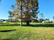Expansive green space with towering trees providing shade, with neighborhood homes visible in the background at 8157 Hidden Hills Dr, Spring Hill, FL 34606