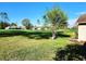 Scenic view of lush greenspace with a young tree in the foreground and neighborhood homes along the horizon at 8157 Hidden Hills Dr, Spring Hill, FL 34606