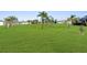 Sprawling backyard with manicured lawn and mature palm trees, perfect for outdoor activities at 8983 Wade St, Brooksville, FL 34613